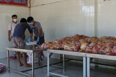 TPHCM: Bắt giữ hàng trăm kg thịt gà thối