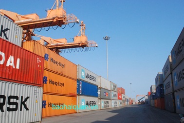 Hơn 8.200 tờ khai xuất nhập khẩu dịp Tết Ất Mùi