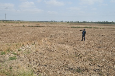 Thi hành kỷ luật 13 cá nhân sai phạm trong hỗ trợ hạn, mặn