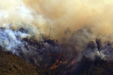 Cháy rừng Quốc gia Hoàng Liên do đốt nương làm rẫy?