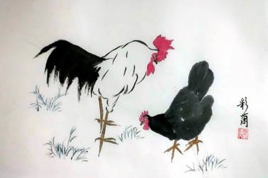 Những phát hiện khoa học thú vị về loài gà