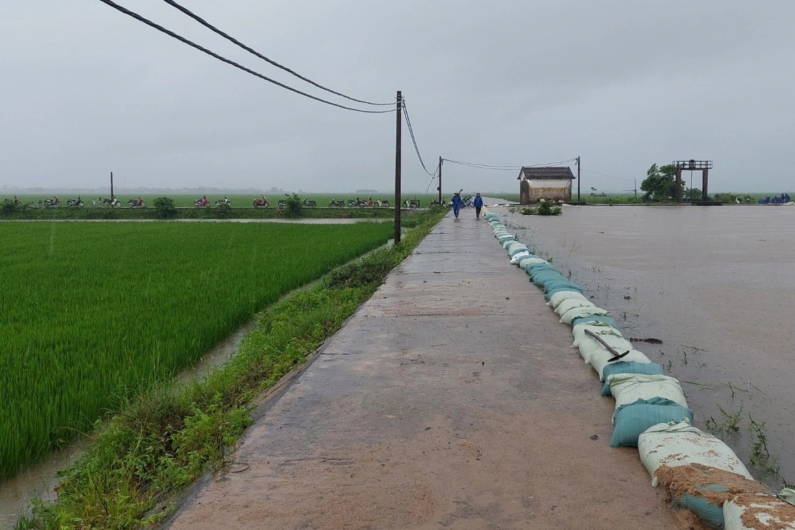 Nước lũ dâng cao, người dân trở tay không kịp, đội mưa đắp đê cứu lúa - 3 Nước lũ dâng cao, người dân trở tay không kịp, đội mưa đắp đê cứu lúa - 3