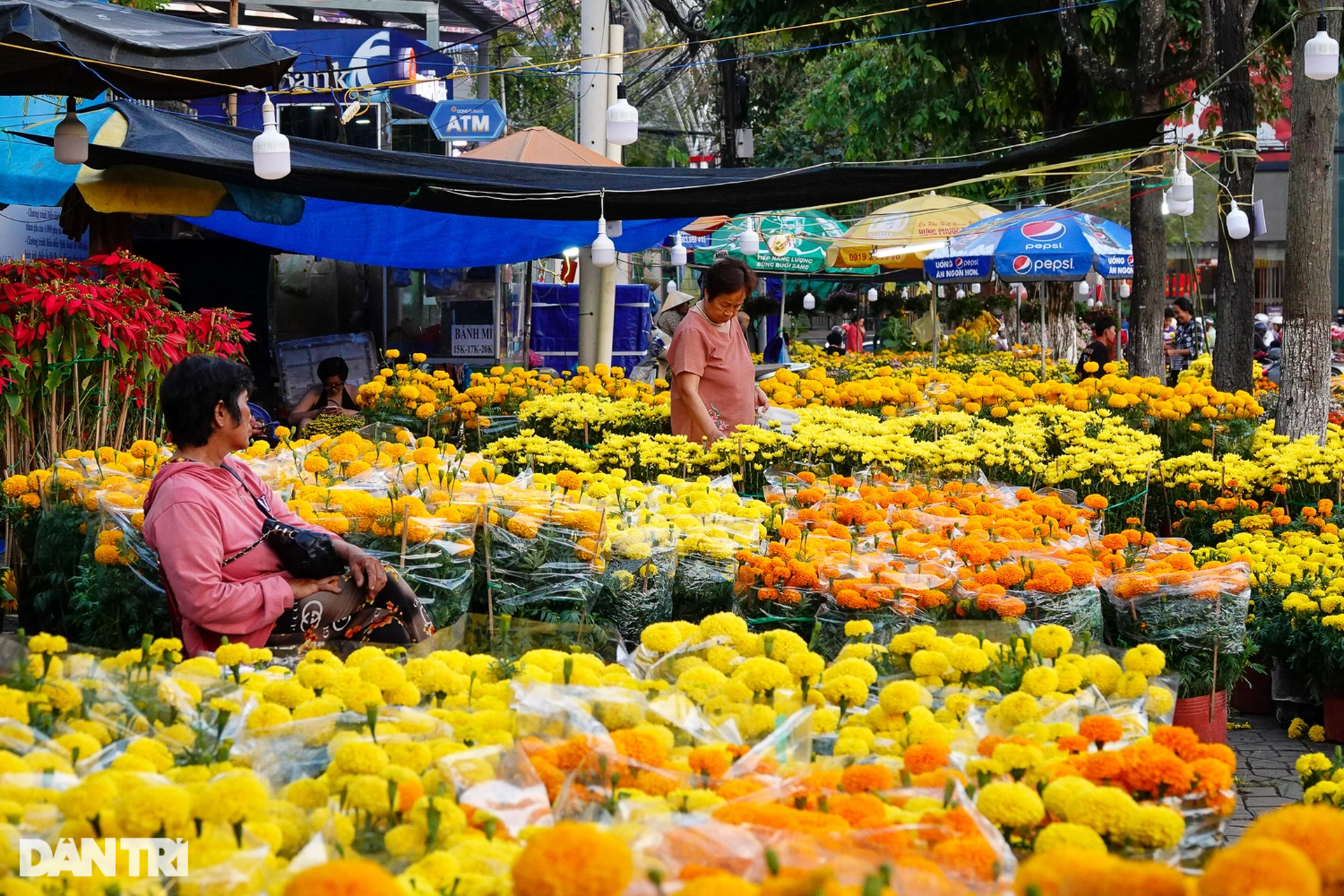 Chợ hoa Tết ở Cần Thơ: Giá niêm yết, giảm sâu vẫn bị khách ngó lơ - 1