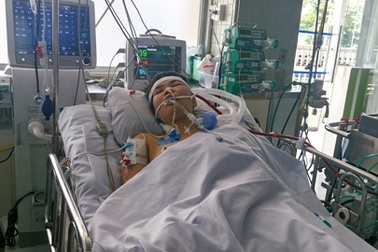 Nữ sinh nguy kịch vì ong chích vào mắt