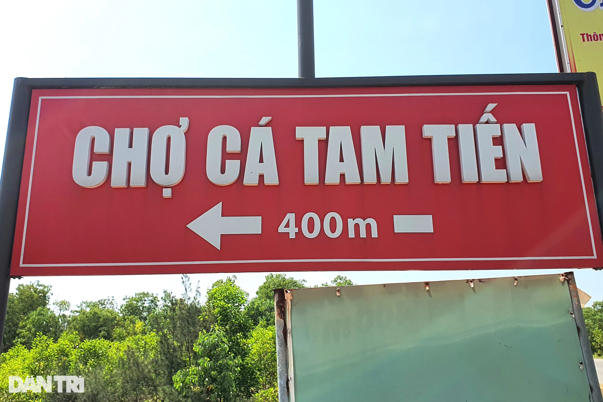 Hình ảnh chợ cá trên bãi biển lớn nhất miền Trung - 1 Hình ảnh chợ cá trên bãi biển lớn nhất miền Trung - 1