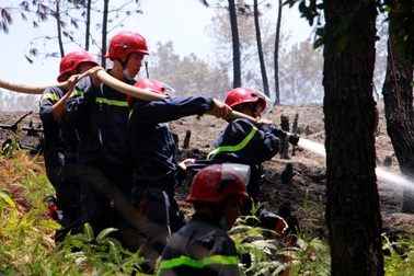 Rừng thông hàng chục năm tuổi bốc cháy dữ dội