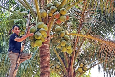 Ngư dân đã giải nghệ, mỗi năm vẫn bỏ túi hơn 200 triệu đồng