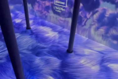 Năm 2022 mang màu sắc của bông hoa dừa cạn vui vẻ, ấm áp