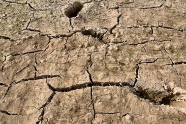 Người dân phải bỏ hoang hàng nghìn ha đất vì nắng hạn