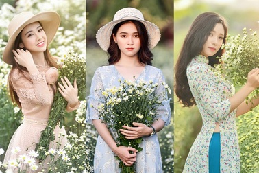 Cuối tuần gái xinh Hà Nội rủ nhau làm duyên với cúc họa mi