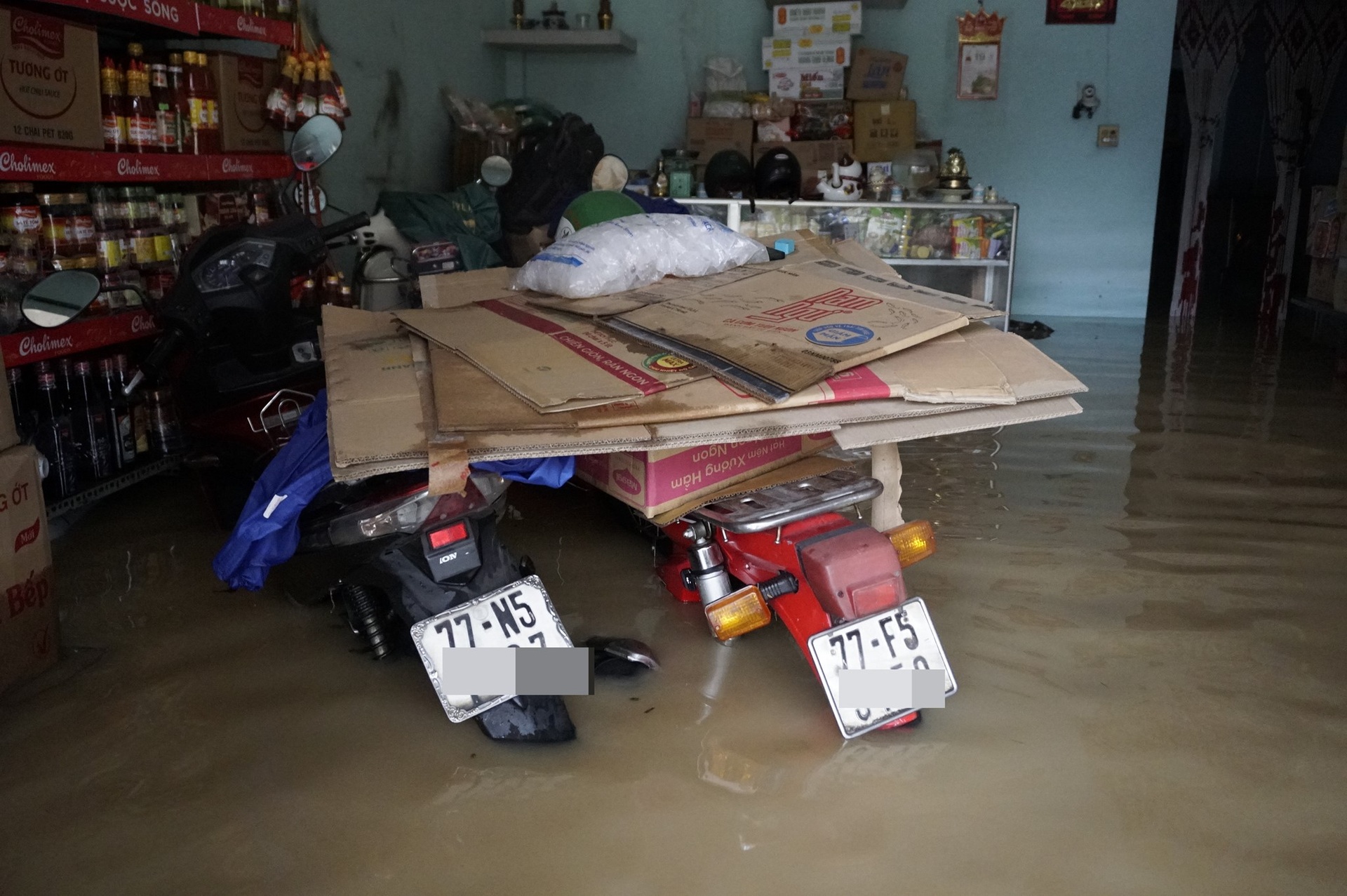 Người dân Gia Lai vật lộn giữa lũ lịch sử, đưa bò đến trụ sở xã trú - 11 Người dân Gia Lai vật lộn giữa lũ lịch sử, đưa bò đến trụ sở xã trú - 11