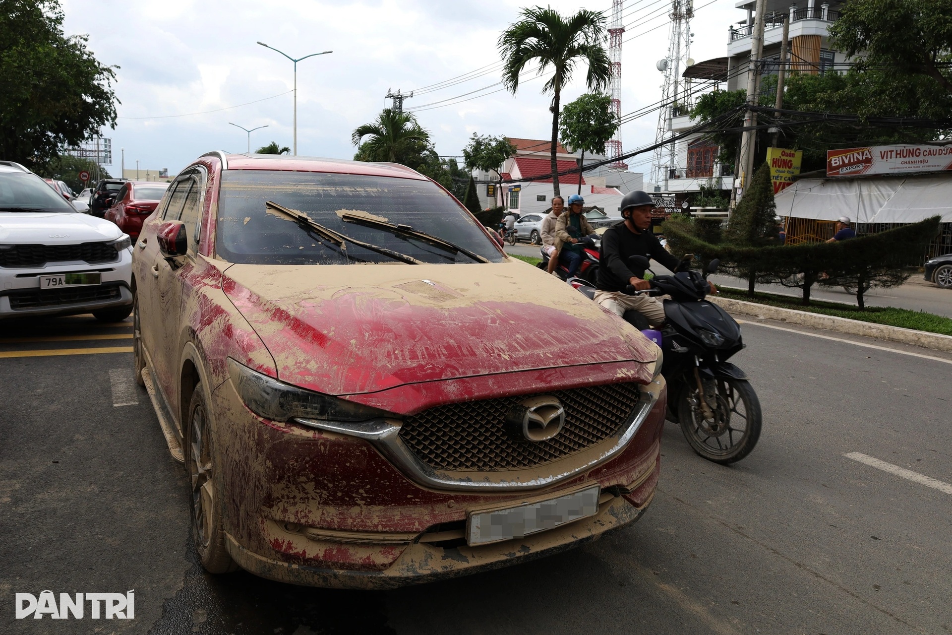 Nha Trang sau lũ: Gara quá tải, ô tô ngập nước la liệt chờ sửa chữa đến Tết - 3 Nha Trang sau lũ: Gara quá tải, ô tô ngập nước la liệt chờ sửa chữa đến Tết - 3