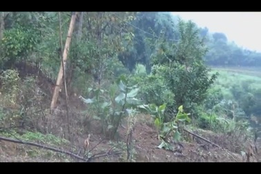 Cuộc sống mới viên mãn của anh Sùng A Pủa.