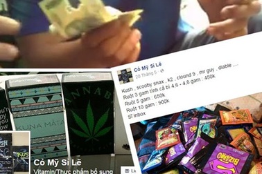 Trò giỏi, con ngoan, chỉ lỡ làng là nghiện