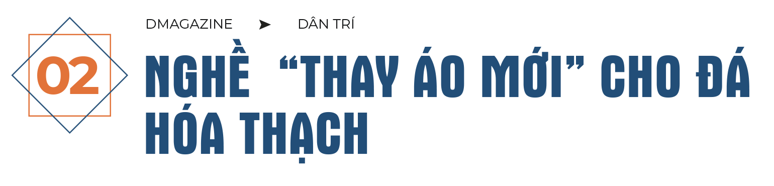 Bí ẩn về vương quốc gỗ hóa thạch trên cao nguyên Gia Lai - 9 Bí ẩn về vương quốc gỗ hóa thạch trên cao nguyên Gia Lai - 9