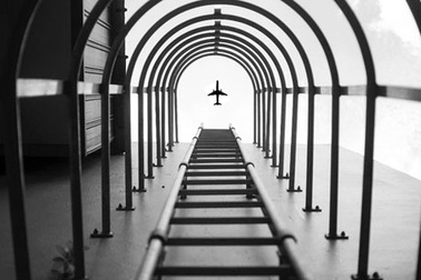 Chuyện hài từ một cuộc thi ảnh bị thí sinh “dắt mũi”