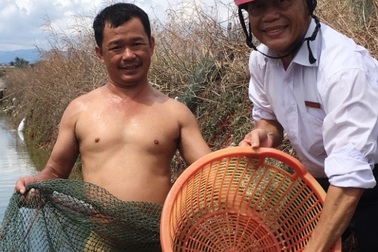 Kiếm tiền tỷ nhờ cho nuôi cá mú chung nhà với ốc hương