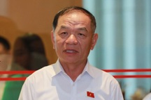 Đại biểu Quốc hội Lê Thanh Vân bị bắt