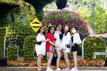 Giới trẻ thỏa sức "sống ảo" với đường hoa tình yêu trên đỉnh Trường Lệ