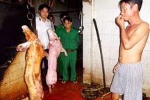 “Thẳng tay” dẹp vấn nạn thực phẩm bẩn