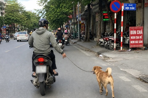 Những câu hỏi điểm liệt trong bài thi lý thuyết sát hạch lái xe (Phần 3)