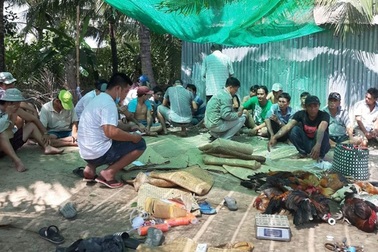 Công an nổ súng bao vây trường gà, thu giữ hàng trăm triệu đồng