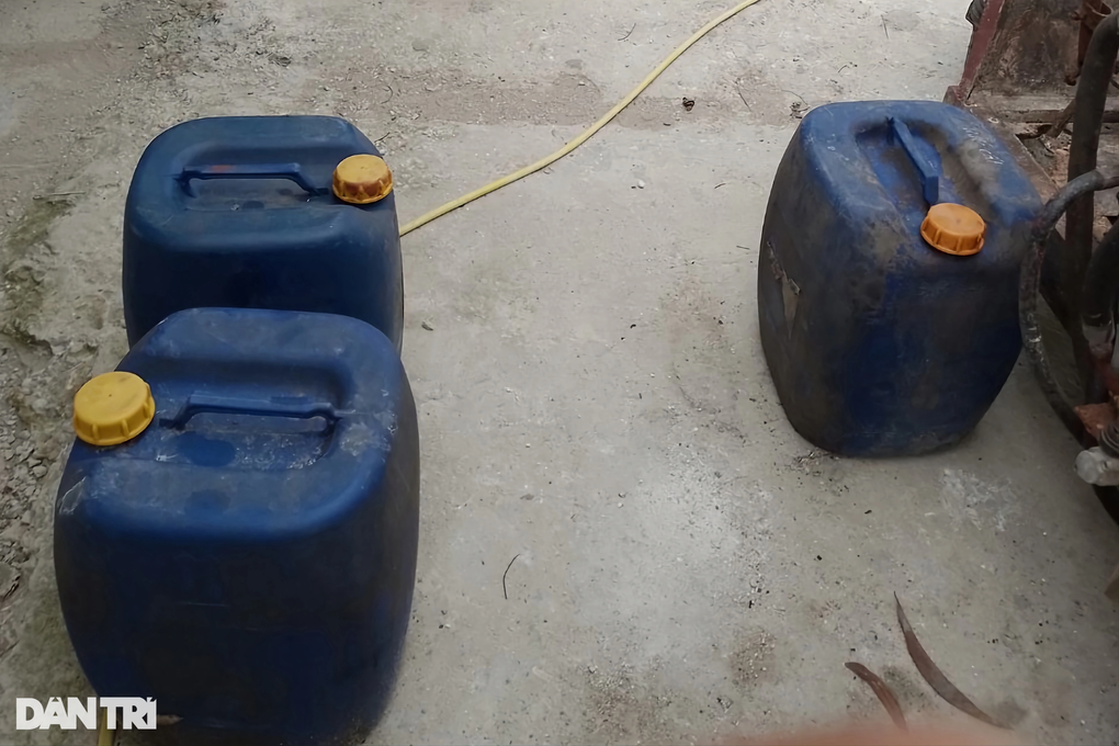 Mất điện, chủ trại vắt sức thâu đêm cấp cứu lợn - 4 Mất điện, chủ trại vắt sức thâu đêm cấp cứu lợn - 4