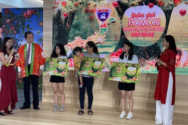 Khám phá Aomori - Vương quốc Táo Nhật đầy mê ly