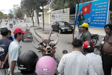 Sừng bò rừng, đầu sơn dương được bày bán công khai giữa phố?