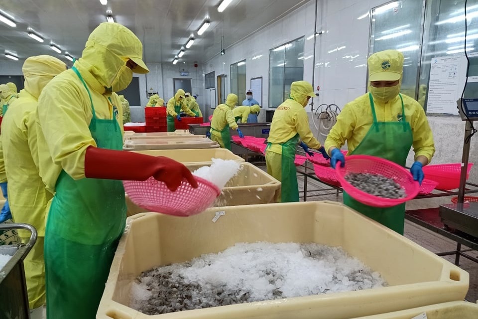 Còn 9,2 triệu người trên 60 tuổi không có lương hưu, trợ cấp BHXH - 1 Còn 9,2 triệu người trên 60 tuổi không có lương hưu, trợ cấp BHXH - 1