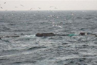 Hàn Quốc thả 3 ngư dân Trung Quốc