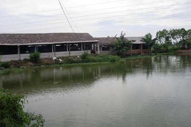 Anh nông dân “khùng” kiếm tiền từ... bãi đất hoang