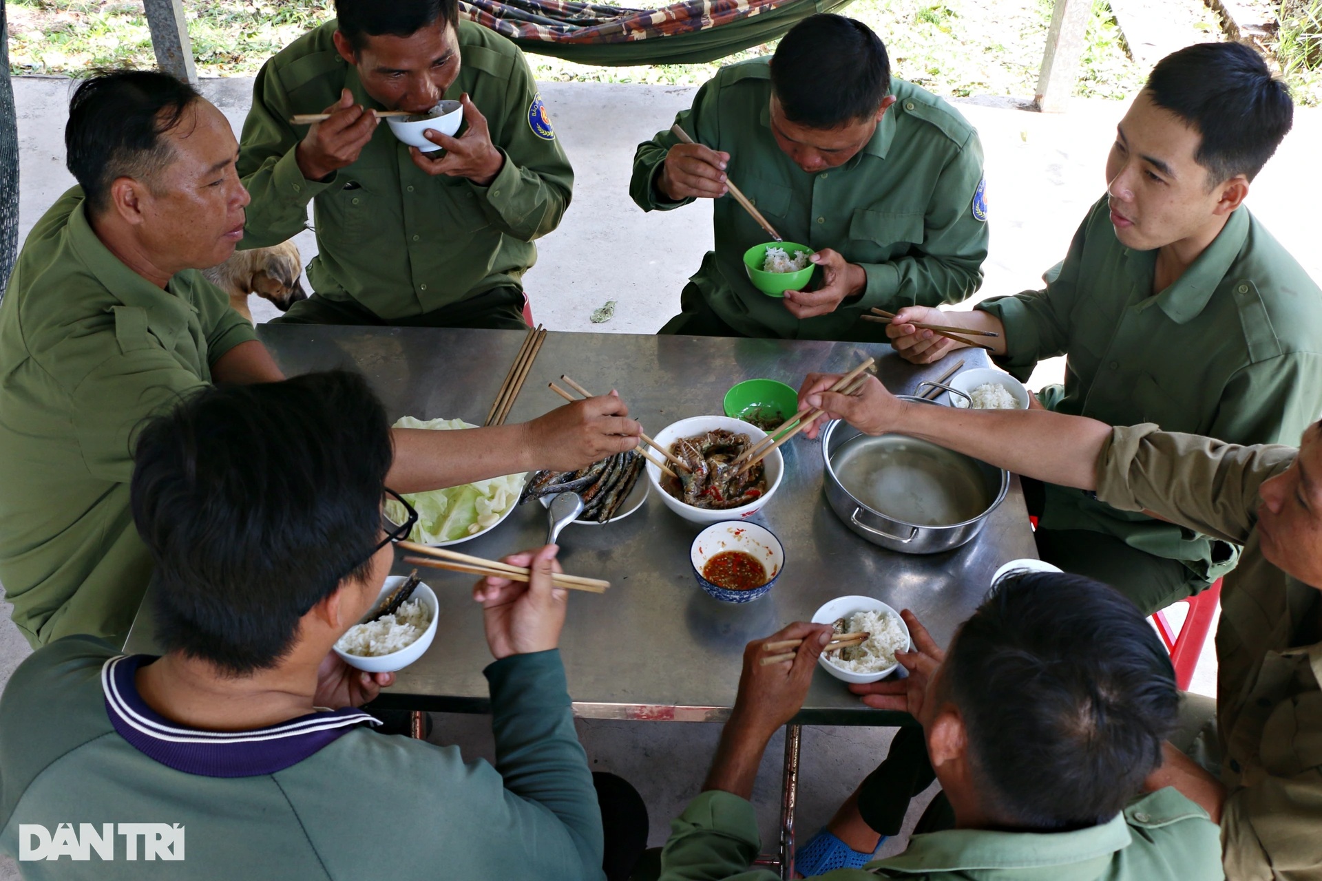 Straining to guard against fire to preserve treasures in U Minh Thuong forest - 12