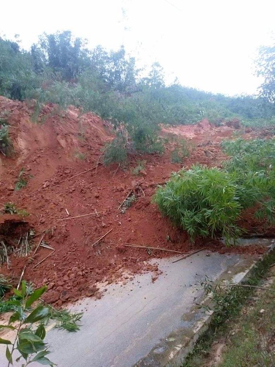 Lại sạt lở núi, đất đá trút xuống chất thành đống, chia cắt quốc lộ 40B - 1 Lại sạt lở núi, đất đá trút xuống chất thành đống, chia cắt quốc lộ 40B - 1