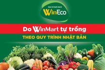 Bí quyết chinh phục người tiêu dùng Việt của rau sạch WinEco