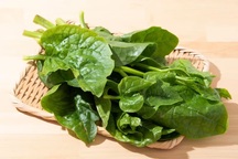 Điều gì xảy ra khi ăn rau mồng tơi hàng ngày?