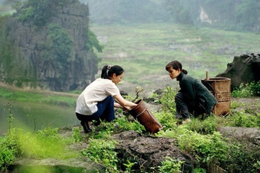 Việt Nam ấn tượng trên những thước phim thế giới