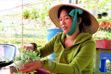 Chuyện về nữ nông dân "tỷ phú" làm giàu từ cây cảnh treo