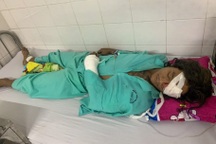 Vụ chó Pitbull cắn chết người: Chưa xác định được danh tính nạn nhân