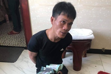 Bắt được nghi phạm trộm hơn 8 tỷ đồng trong ngôi nhà có 6 camera