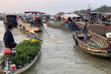 Cần Thơ khẳng định là điểm đến an toàn, không có dịch