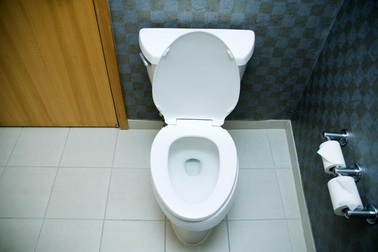 Sợ toilet, nhịn đi vệ sinh dẫn đến tử vong