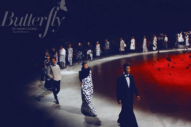 Đỗ Mạnh Cường - một năm nhìn lại