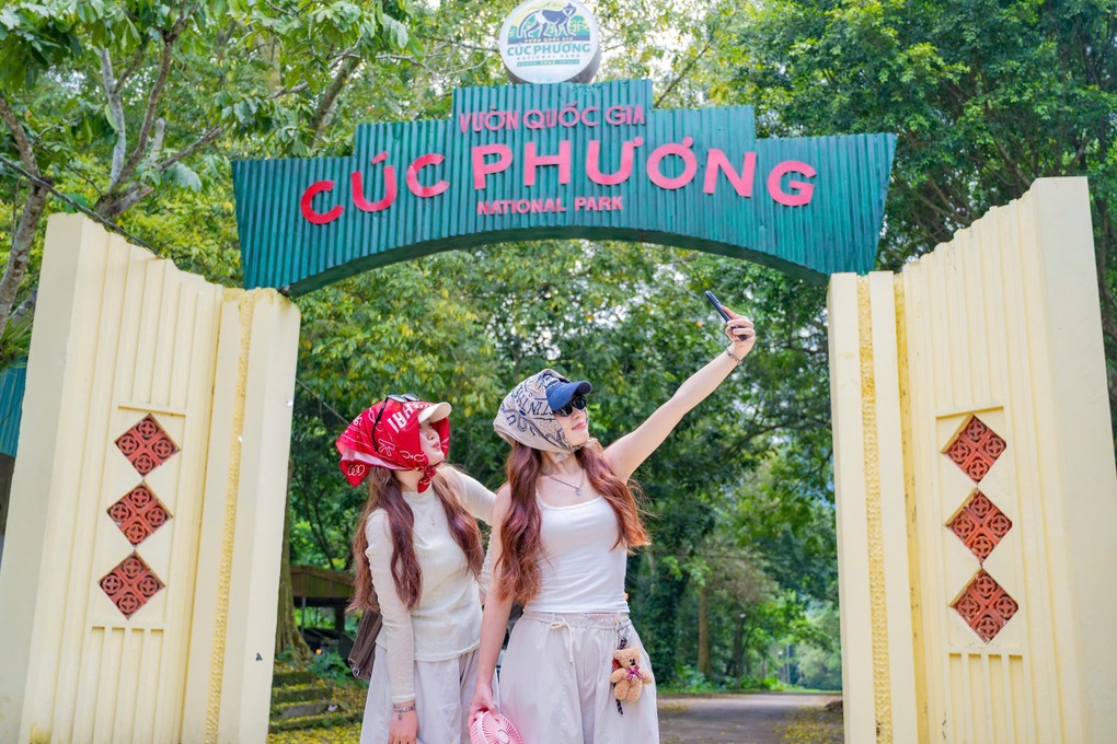 Hơn 400 loài bướm khoe sắc níu chân du khách trong rừng Cúc Phương - 1 Hơn 400 loài bướm khoe sắc níu chân du khách trong rừng Cúc Phương - 1