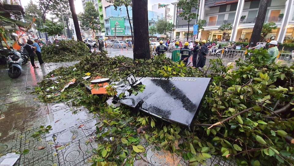 Cây cổ thụ cao hàng chục mét đổ đè người đàn ông trên phố Sài Gòn - 6 Cây cổ thụ cao hàng chục mét đổ đè người đàn ông trên phố Sài Gòn - 6