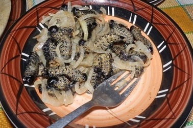 Thưởng thức món ăn Giáng sinh kinh dị nhất thế giới