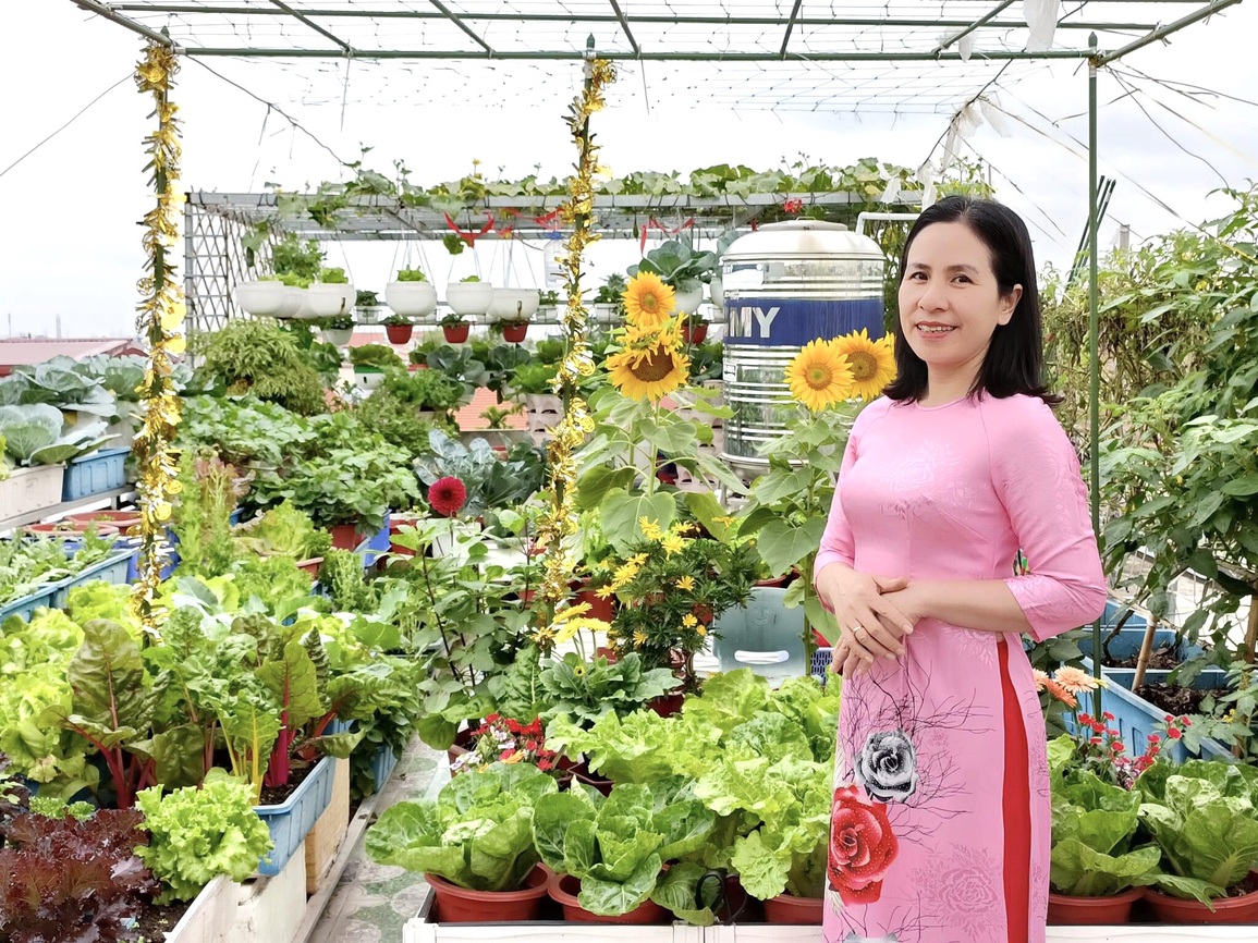 Mẹ đảm ở Hải Phòng kỳ công về quê chở đất, kéo từng bao lên phố trồng rau - 13 Mẹ đảm ở Hải Phòng kỳ công về quê chở đất, kéo từng bao lên phố trồng rau - 13