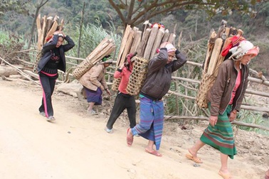 Gần 90 hộ dân di cư trái phép sang Lào