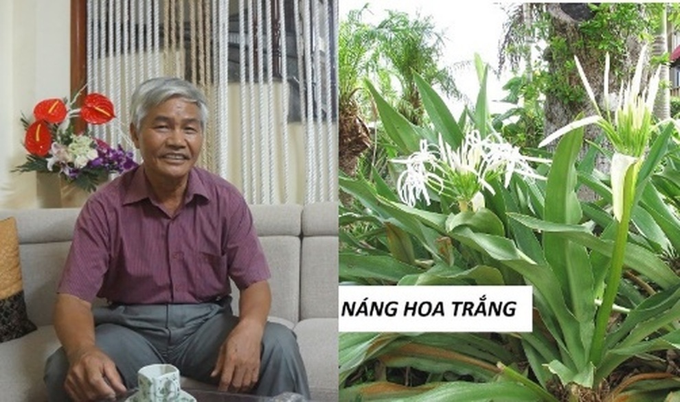 Có nên dùng Vương bảo khi bị phì đại tiền liệt tuyến - 1 Có nên dùng Vương bảo khi bị phì đại tiền liệt tuyến - 1