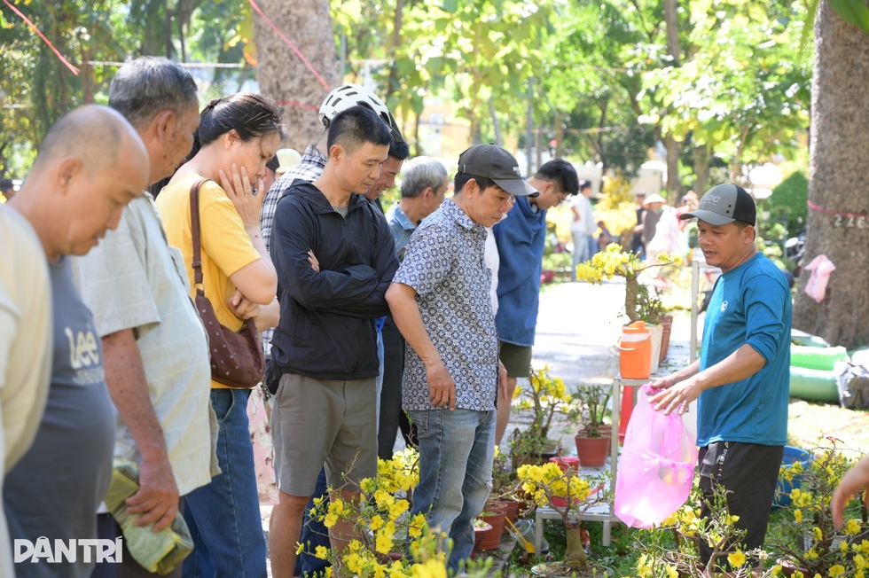 Tiểu thương ở TPHCM đồng loạt hạ giá cây cảnh, thu dọn về quê đón giao thừa - 1
